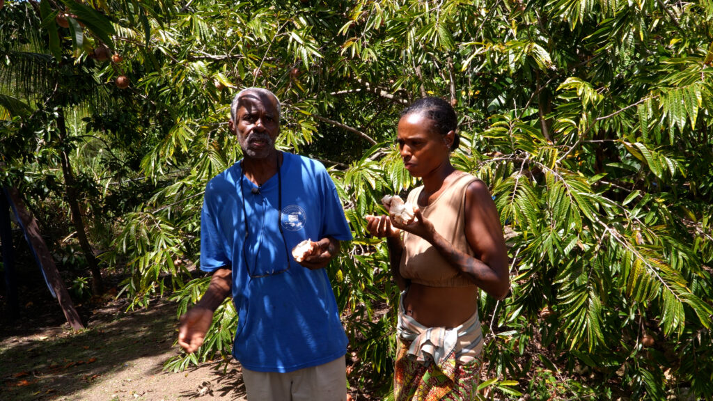 A conversation in an Antiguan backyard garden
