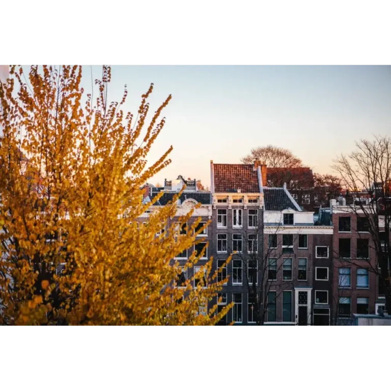 The Dylan Amsterdam grounds