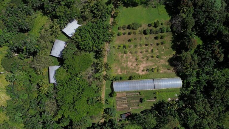 Serafina organic farm