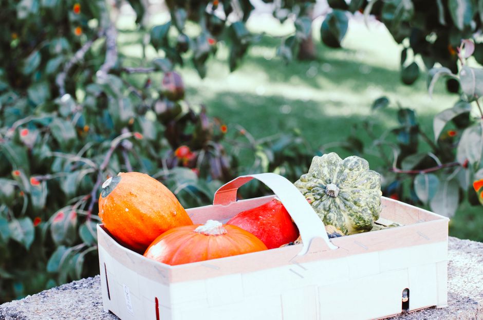 A box of squash and pumpkins