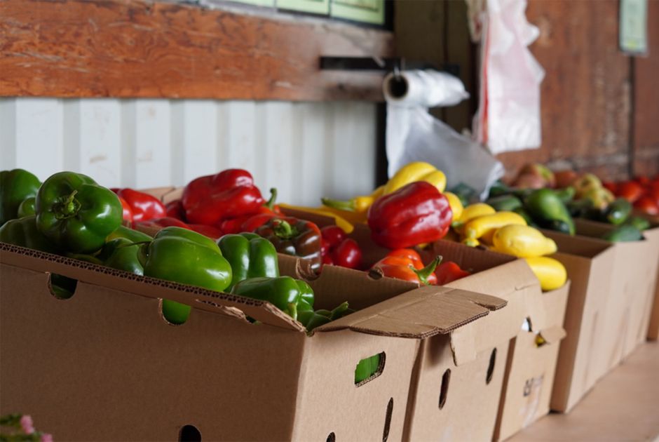 Seasonal vegetables on display at a farm stand