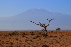 Scenic view of barren landscapes of Kajiado County, Kenya with Mount Kilimanjaro.