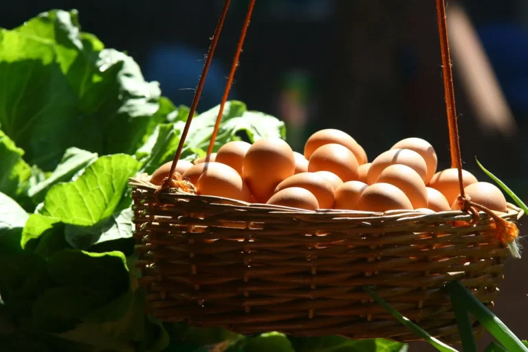 A basket of fresh farm eggs, the kind sold direct by farms in East Dunbartonshire