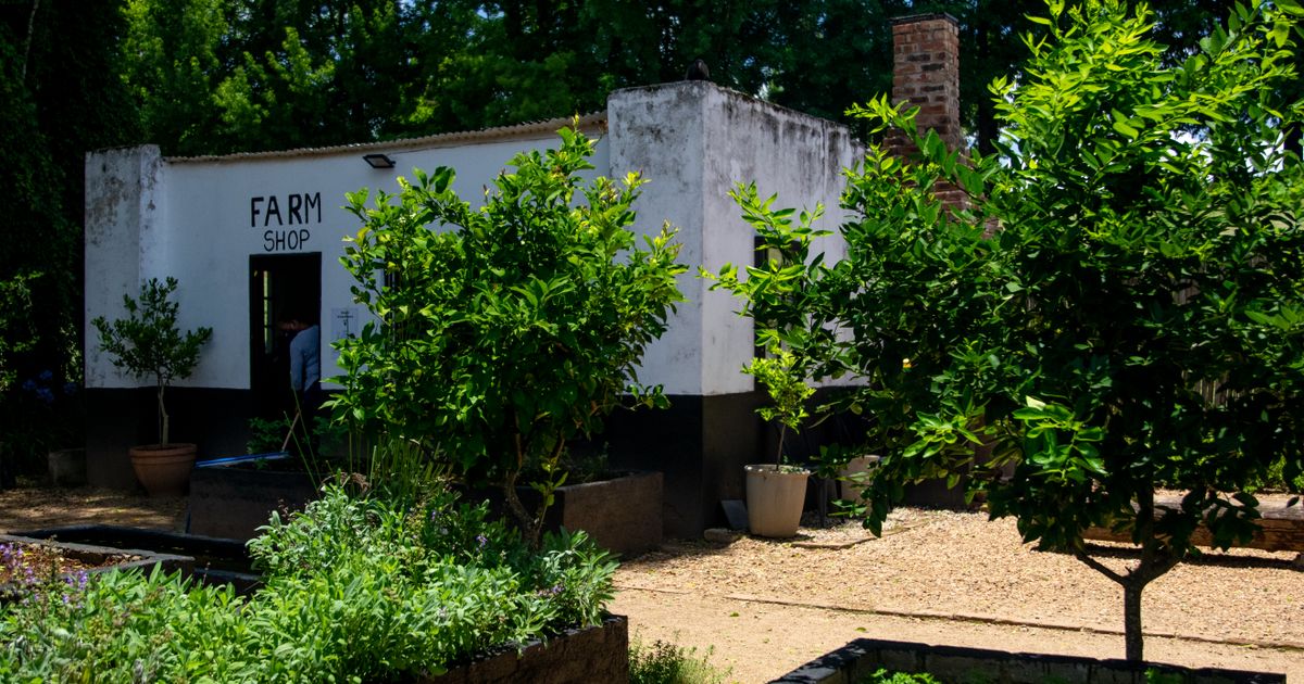Farm-shop exterior surrounded by greenery