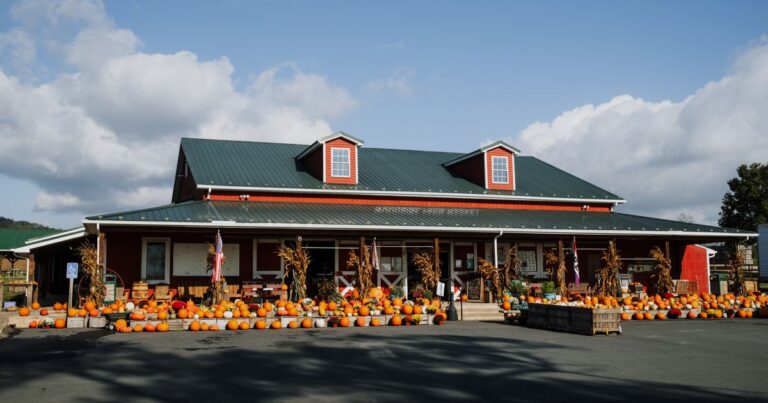 Farm stand with an autumn pumpkin display